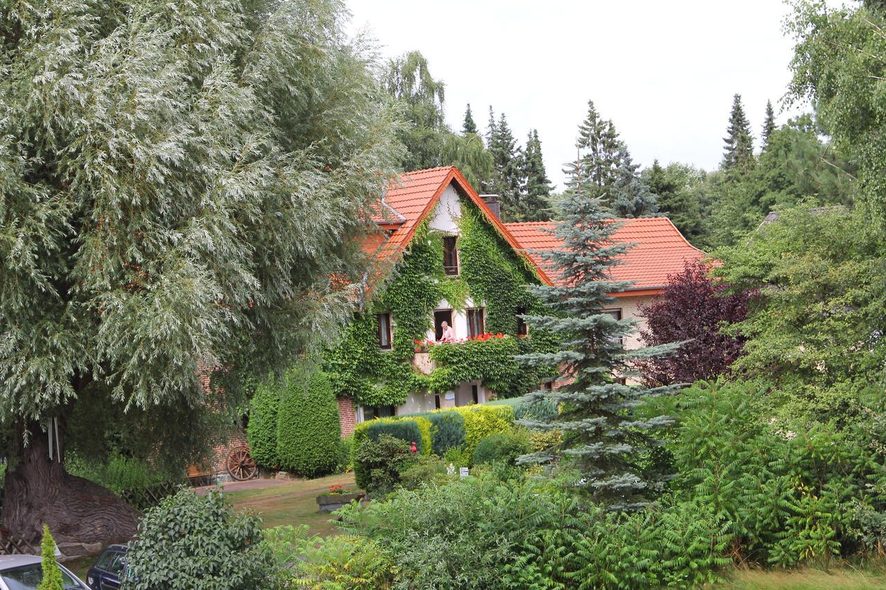Hotel-Pension Haus Holtdirk ลิพพ์ชตัดท์ ห้อง รูปภาพ